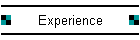 Experience