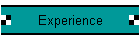 Experience